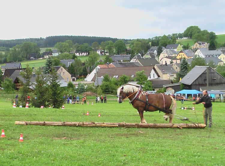 Holzrücke-Erzgebirgscup