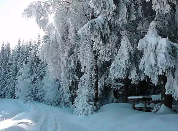 Traumhafte winterwelt