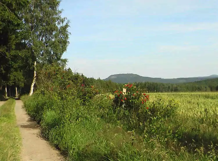 Ausflugsziele Bärenstein