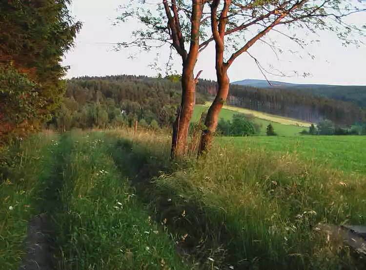 Blick auf den Fichtelberg